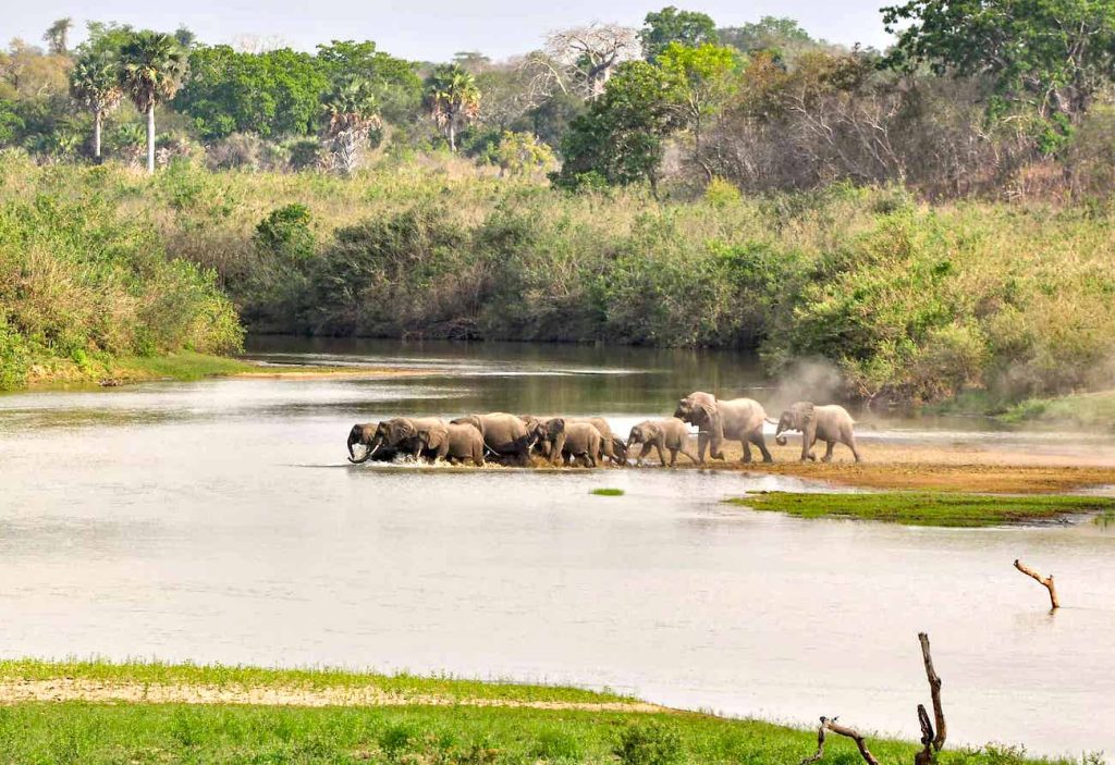 selous national park