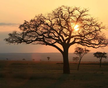 selous national park