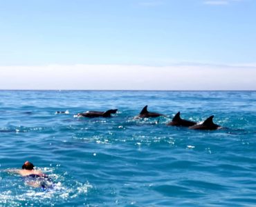 snorkeling