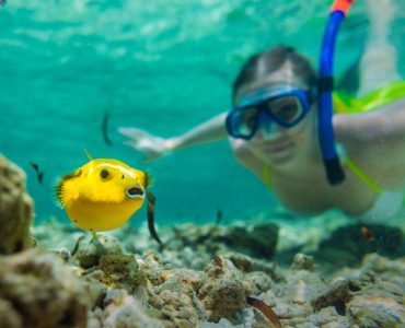 snorkeling